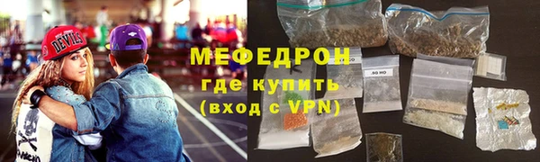 индика Инсар