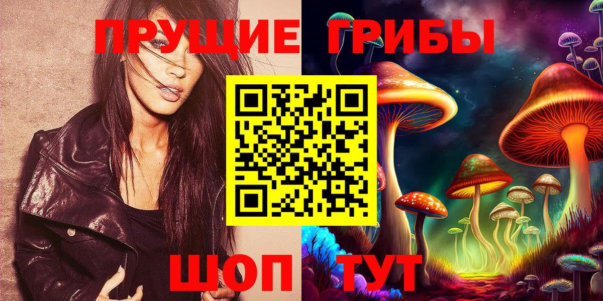 Горно-Алтайск  цены   Вход с VPN  Псилоцибиновые грибы Magic Shrooms 