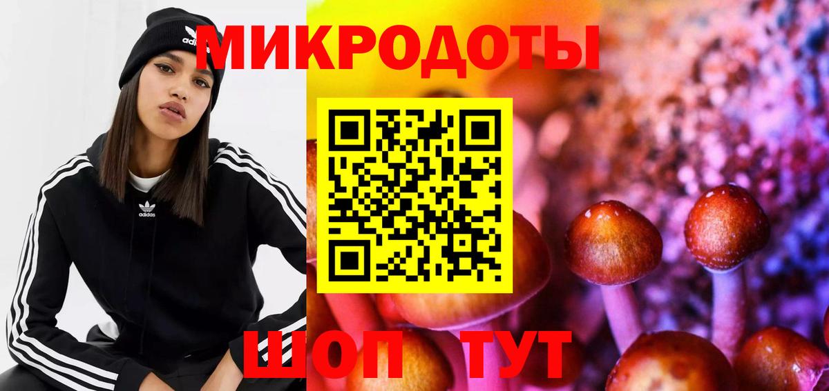 Галлюциногенные грибы мухоморы  Псилоцибиновые грибы Psilocybe  Горно-Алтайск 