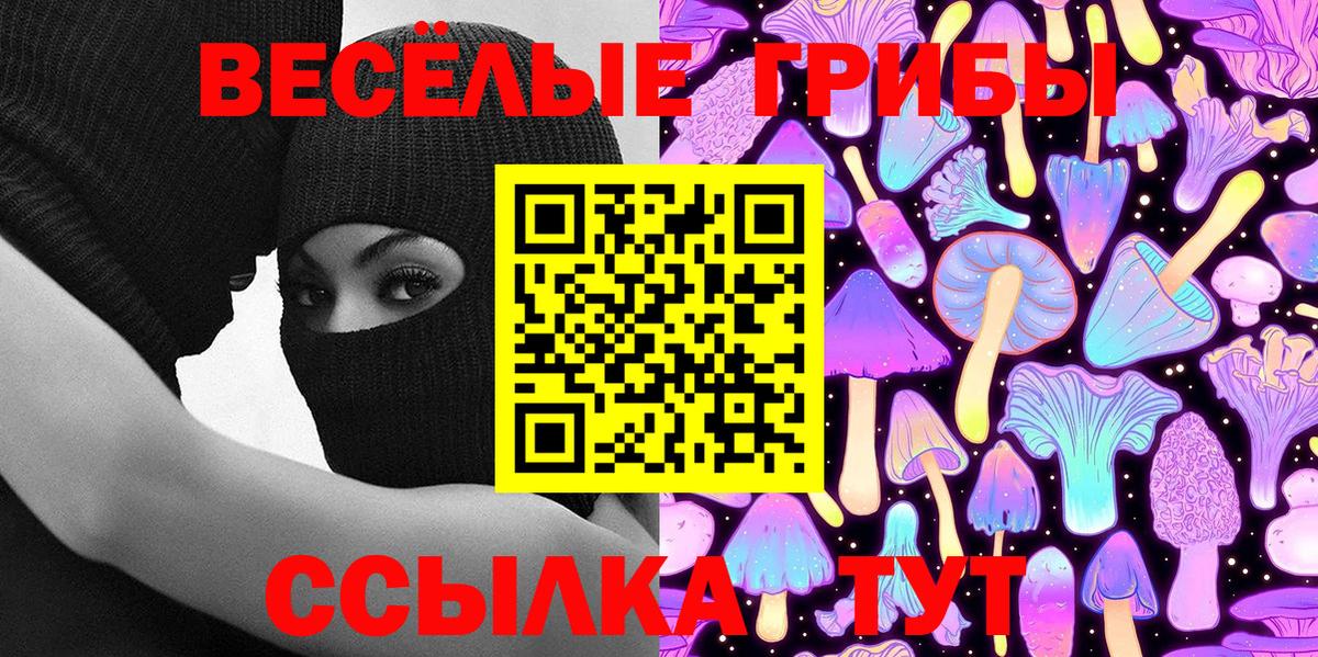 Псилоцибиновые грибы ЛСД Горно-Алтайск